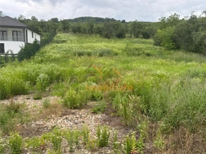 TEREN INTRAVILAN 2.077 MP | DUBLU FRONT | PODGORIA - imagine 2