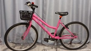 Bicicleta copii marca Neuzer Cindy