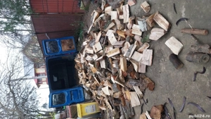 lemne de foc esenta tare