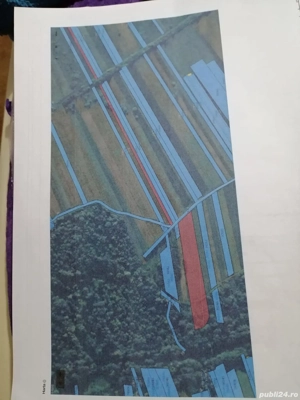 Vând teren agricol Intra si extavilan