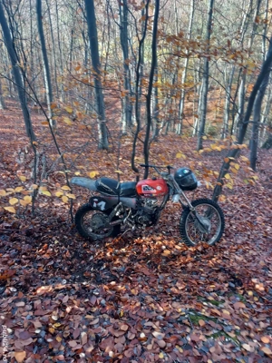 777er77frtu7d - imagine 4