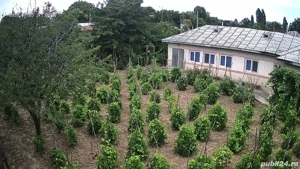 Casă renovată, locuibilă imediat   1.500 mp teren, aproape de E85, comuna Obrejita, Vrancea - imagine 3