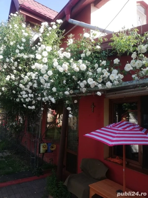 vanzare case - imagine 3
