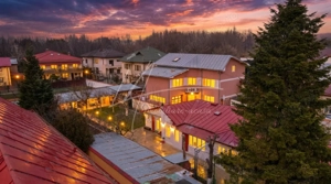 Ghencea, Cooperativei, vila individuala, mobilata complet