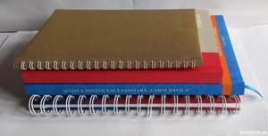 3 agende + 1 jurnal (NOS), nefolosite