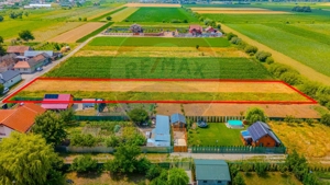 COMISION 0% | Teren intravilan | Bod, strada Avram Iancu - imagine 6