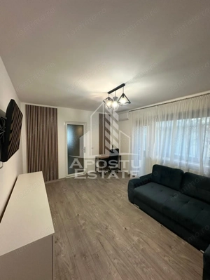 Apartament 2 camere, centrala proprie, renovat complet, Sagului