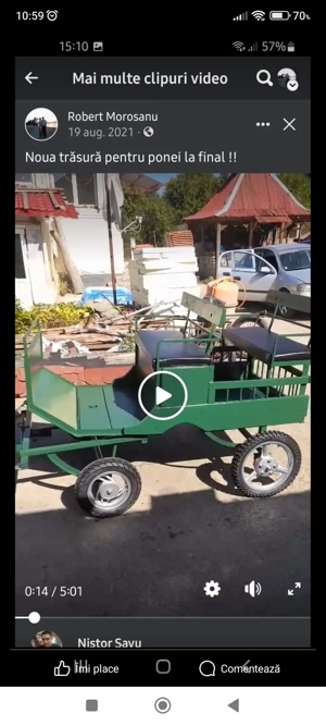 Trăsuri pentru cau și ponei pe comandă. Citiți descrierea anuntului.  - imagine 4