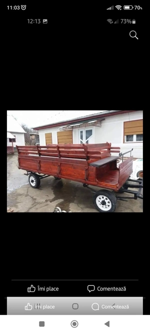 Trăsuri pentru cau și ponei pe comandă. Citiți descrierea anuntului.  - imagine 2