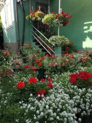 Casă de vânzare | Zona Independenței | 123 mp utili | Beci pe toată suprafața |  - imagine 3