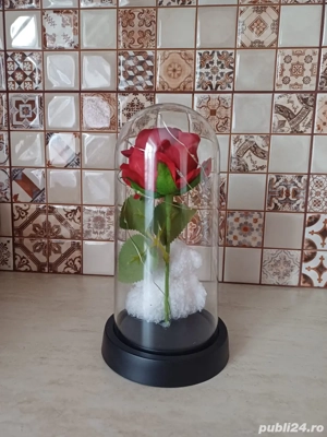 Ursuleț cu Lumină LED în Cupolă - imagine 4