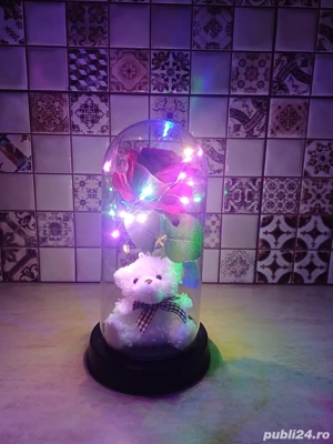 Ursuleț cu Lumină LED în Cupolă