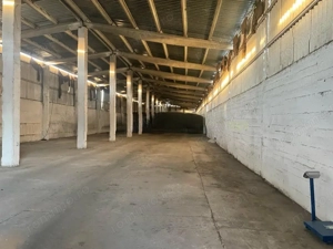 Spatii industriale , teren ,silozuri si Fabrica de nutret pentru animale Peris - imagine 6