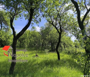   Teren cu potențial rezidențial și turistic | 3.000 m  | Exclusivitate Napolux Imobiliare - imagine 4