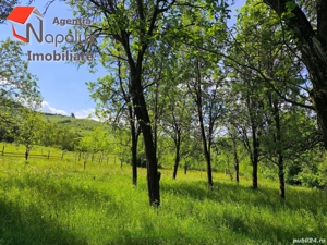   Teren cu potențial rezidențial și turistic | 3.000 m  | Exclusivitate Napolux Imobiliare - imagine 3