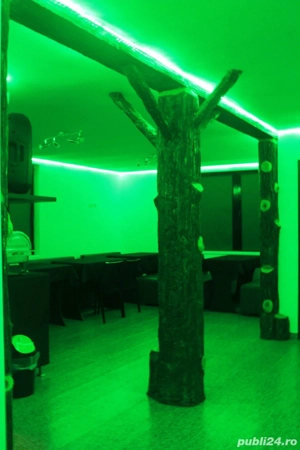 vila, pensiunea,  casa de vacanta  - imagine 9