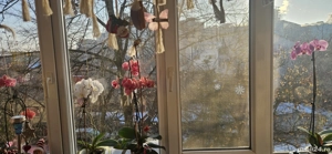 apartament 2 camere str Titan Tipografilor