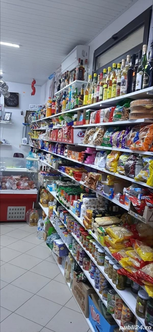 Vila cu spațiu comercial - imagine 4