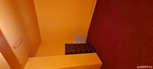 Casa de vanzare comuna Salacea Bihor,Prez rentabil si negociabil - imagine 9