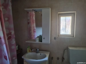 Casa, spatiu comercial, teren intravilan 3025 mp, sat Ciuperceni, pret atragator - imagine 8