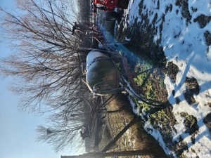 Met erbicidat 2500 l - imagine 2