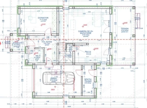 AX1108 Dumbravita, Zona Cora, Casa Individuala Premium - imagine 3