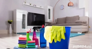 curatenie la domiciliu