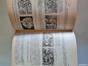 Morfopatologie stomatologica Gr. Pambuccian 1987 - imagine 2