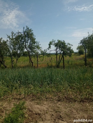 vanzare casa la țară  - imagine 5