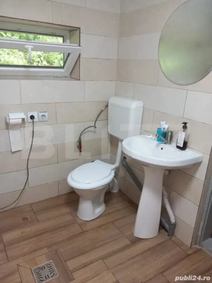 Casa si teren zona pitoreasca - imagine 7