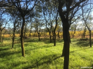 Casa de vanzare  - imagine 4