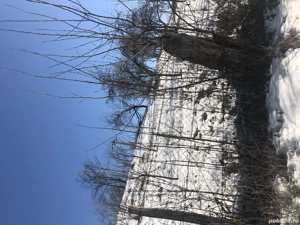 Vand teren 2000mp  - imagine 5