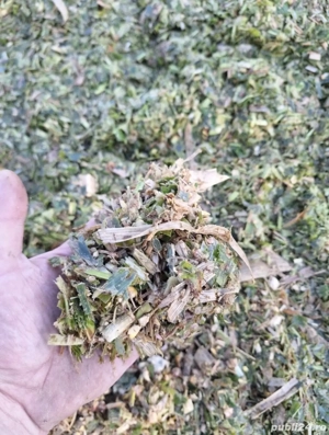 Vând siloz de porumb 