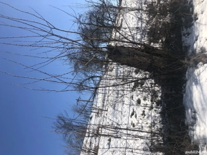 Vand teren 2000mp  - imagine 6