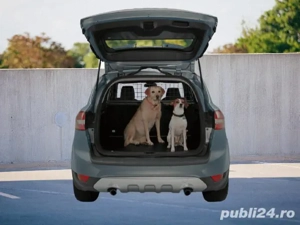 Transport caini,pisici si animalute de companie