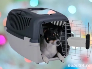 Transport caini,pisici si animalute de companie - imagine 2