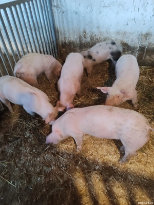 De Vânzare  - imagine 2