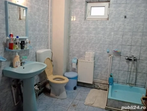 Vilă + teren 8.246 mp | 25 min de București   OPORTUNITATE - imagine 7