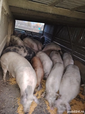 Vând sau schimb cu moară după tractor  - imagine 2