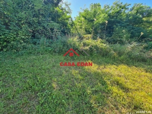 Casa in Poiana Campina--34.000e - imagine 12