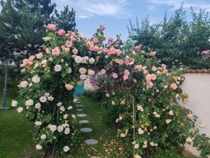 Vila superba in stil mediteranean Saftica- Corbeanca-  COMISION 0. - imagine 2