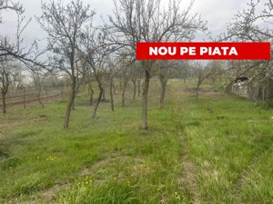 Teren intravilan 2.200 mp cu constructie existenta –Calinesti- Vranesti-Arges!