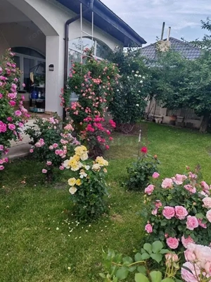 Vila superba in stil mediteranean Saftica- Corbeanca-  COMISION 0. - imagine 3