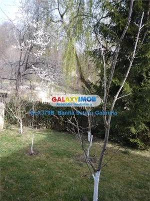 Vanzare vila  4 camere, ,teren 730 mp zona Izvoarele,Prahova - imagine 7