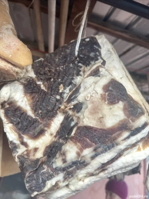 Untură și slănină de porc 