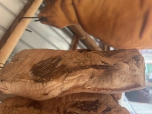 Untură și slănină de porc  - imagine 3