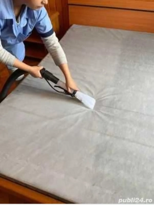 ofera servicii profesionale de curatenie