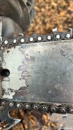 Vând mânză de 3ani - imagine 2