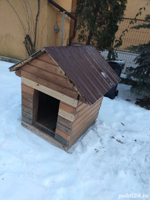 cușca caine - imagine 3