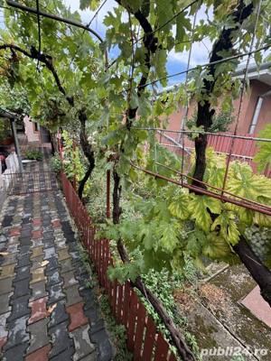 Casa cu 5 camere in zona D. Filipescu   Posta   teren 400mp   Pret: 110.000  neg.   - imagine 7